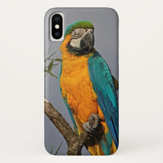 Goldie Blue iPhone X Case (Rückseite)