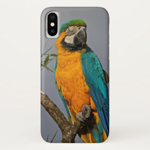 Goldie Blue iPhone X Hülle