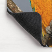 Goldie Blue Mousemat Mousepad (Ecke)