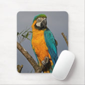Goldie Blue Mousemat Mousepad (Mit Mouse)