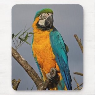 Goldie Blue Mousemat Mousepad