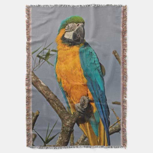 Goldie Blue Throw Blanket Decke (Vorderseite Vertikal)