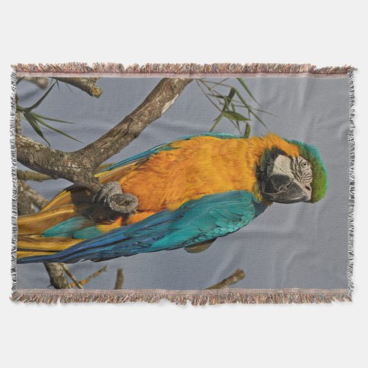 Goldie Blue Throw Blanket Decke (Vorderseite)