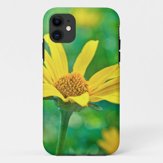 Goldie Case-Mate iPhone Hülle (Rückseite)