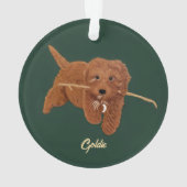 Goldie Doodle Ornament (Rückseite)