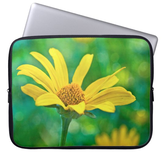 Goldie Laptopschutzhülle (Vorderseite)