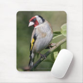 Goldie Mousemat Mousepad (Mit Mouse)