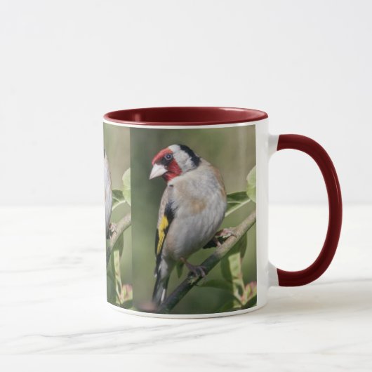 Goldie Tasse (Rechts)