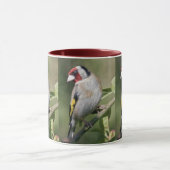 Goldie Tasse (Zentrum)