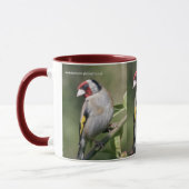 Goldie Tasse (Links)