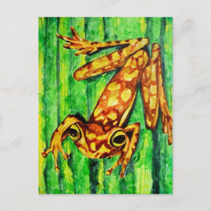 Goldie The Tree Frog Postkarten