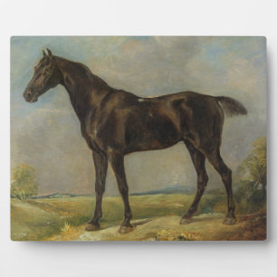 Golding Constable's Black Riding-Horse, c.1805-10 Fotoplatte