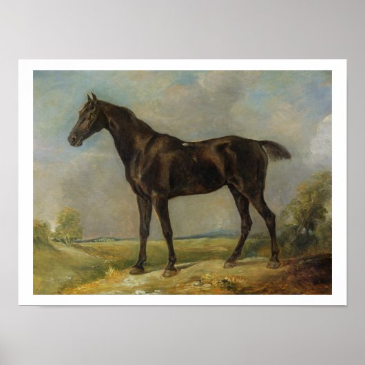 Golding Constable's Black Riding-Horse, c.1805-10 Poster (Vorne)