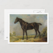 Golding Constable's Black Riding-Horse, c.1805-10 Postkarte (Vorne/Hinten)