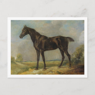 Golding Constable's Black Riding-Horse, c.1805-10 Postkarte