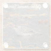 Goldkronenammer Glasuntersetzer (Rückseite)