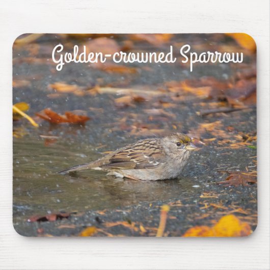 Goldkronenammer Mousepad (Vorne)