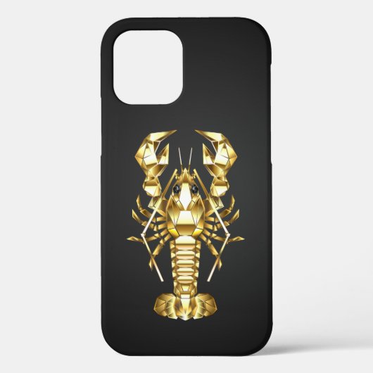 Goldlachs Case-Mate iPhone Hülle (Rückseite)