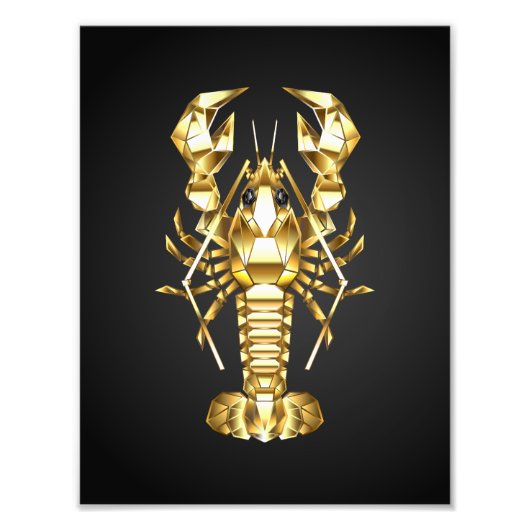 Goldlachs Fotodruck (Vorne)