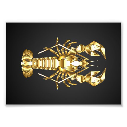 Goldlachs Fotodruck (Vorne)