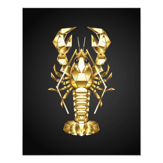 Goldlachs Fotodruck (Vorne)