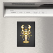 Goldlachs Magnet (In Situ (Geschirrspüler))