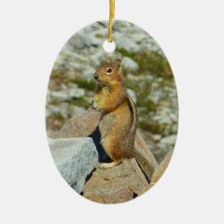 Goldmantel-Ziesel am Mount Rainier Keramik Ornament