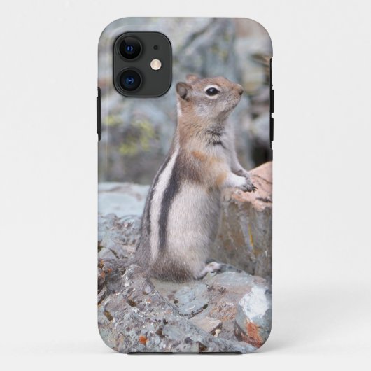 Goldmantel-Ziesel in Glacier II Case-Mate iPhone Hülle (Rückseite)