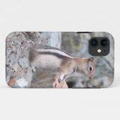 Goldmantel-Ziesel in Glacier II Case-Mate iPhone Hülle (Rückseite (Horizontal))