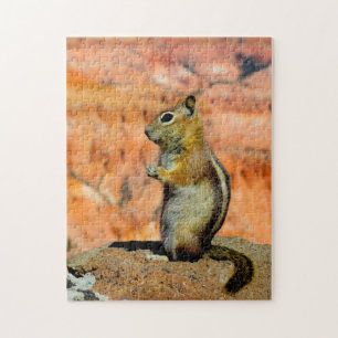 Goldmantel-Ziesel. Puzzle