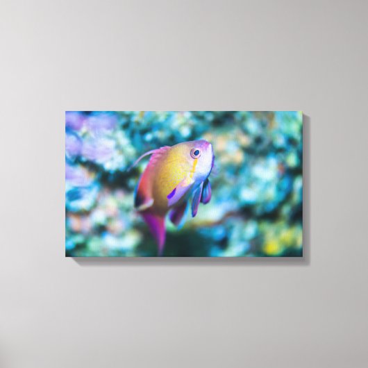 Goldmedaille Leinwanddruck (Vorderseite)