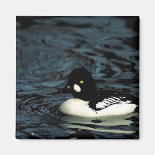 Goldmedaille Magnet (Vorne)