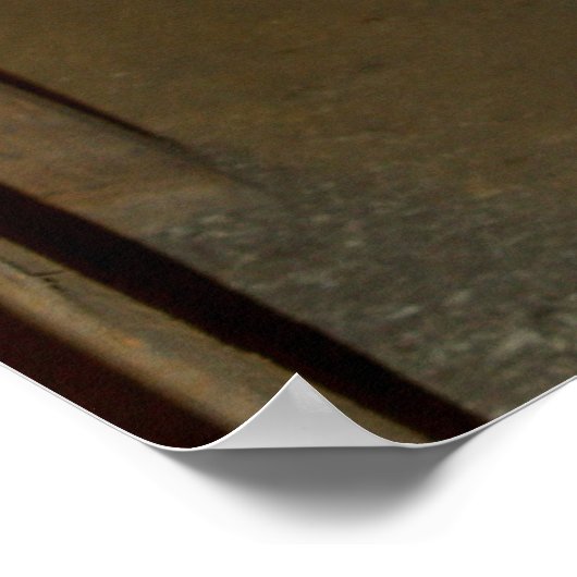 Goldmedaillenposter Poster (Ecke)