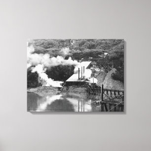 Goldmine in Valdez, Alaska-Fotografie Leinwanddruck