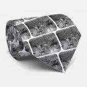 Goldminers Gold Rush Miners ~ Kalifornien 1850 Krawatte (Gerollt)