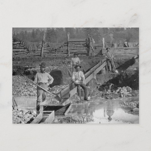 Goldminers Gold Rush Miners ~ Kalifornien 1850 Postkarte (Vorderseite)