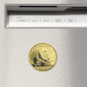 Goldmünze Magnet (In Situ (Geschirrspüler))