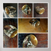 Goldmünzring Poster (Vorne)