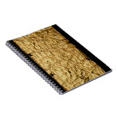 Goldplatte mit "langatmiger" Etruscan Aufschrift Notizblock (Rechte Seite)