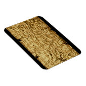 Goldplatte mit "länglicher" etruskischer Aufschrif Magnet (Rechte Seite)