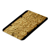 Goldplatte mit "länglicher" etruskischer Aufschrif Magnet (Linke Seite)