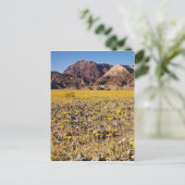 Goldrausch Postkarte (Stehend Vorderseite)