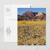 Goldrausch Postkarte (Vorne/Hinten)