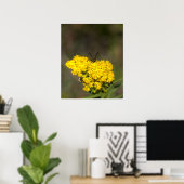 Goldruten Fotoplakat Poster (Heimbüro)