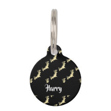 Goldschläger auf schwarz