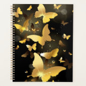 Goldschmetterlinge Planer (Vorderseite)