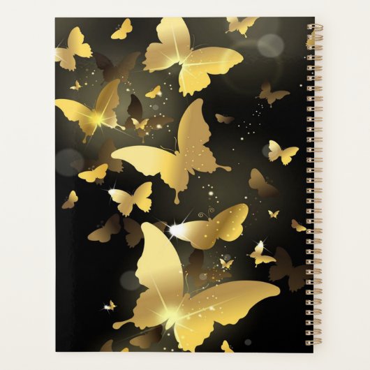 Goldschmetterlinge Planer (Rückseite)