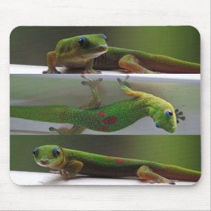 Goldstaub Gecko Mousepad