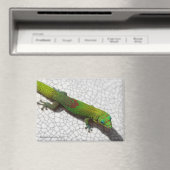 Goldstaub-Tag-Gecko-Kühlschrankmagnet Magnet (In Situ (Geschirrspüler))