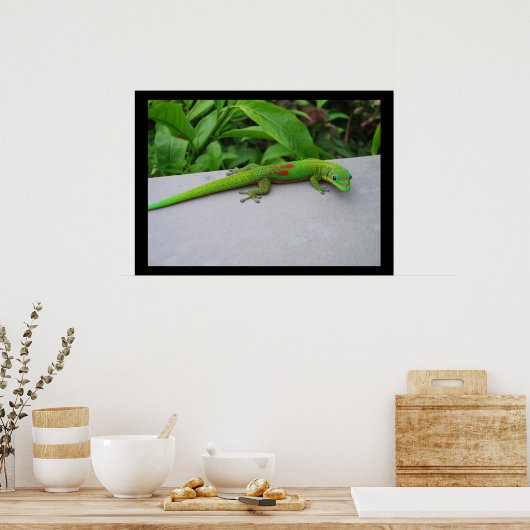 Goldstaubtag Gecko Poster (Küche)